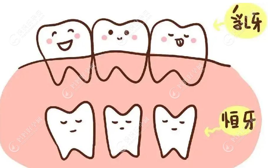 乳牙蛀牙洞不补恒牙能长好