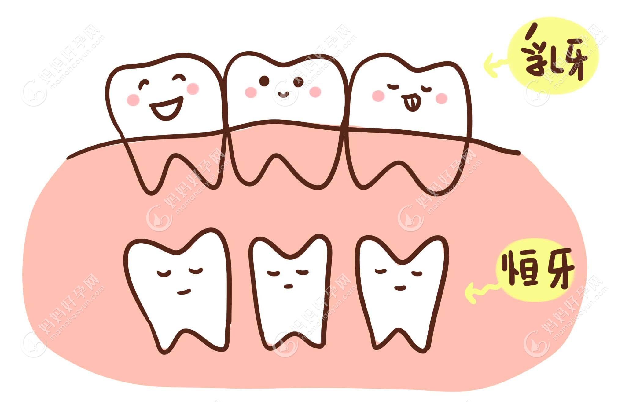 乳牙坏了影响恒牙的生长吗，会影响换牙吗？