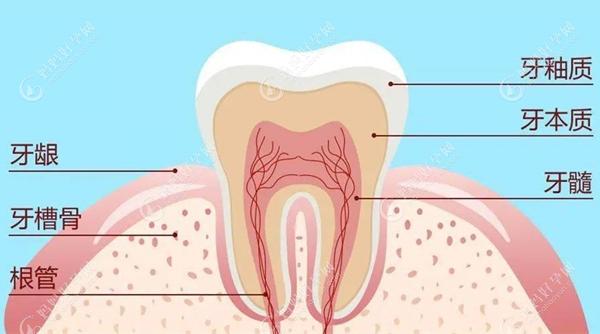 我想咨询牙龈萎缩是什么原因造成的,怎么治疗才能恢复正常?