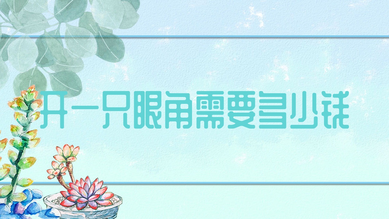 开一只眼角需要多少钱