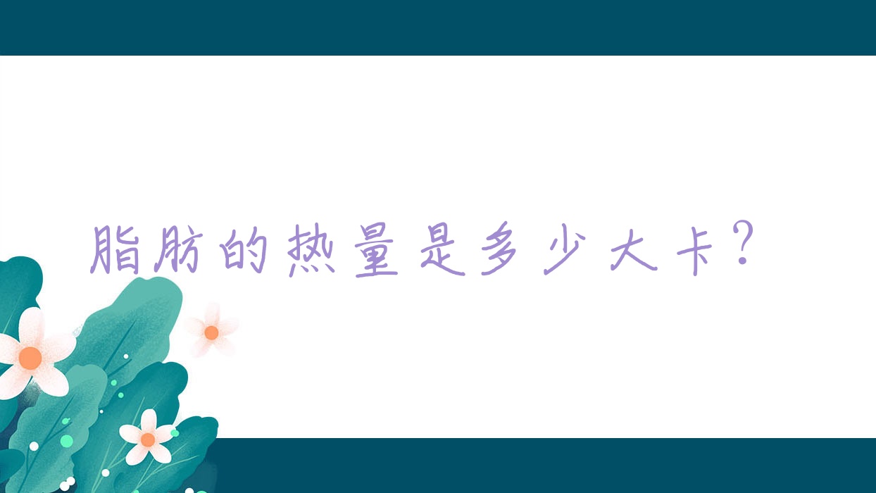 脂肪的热量是多少大卡?