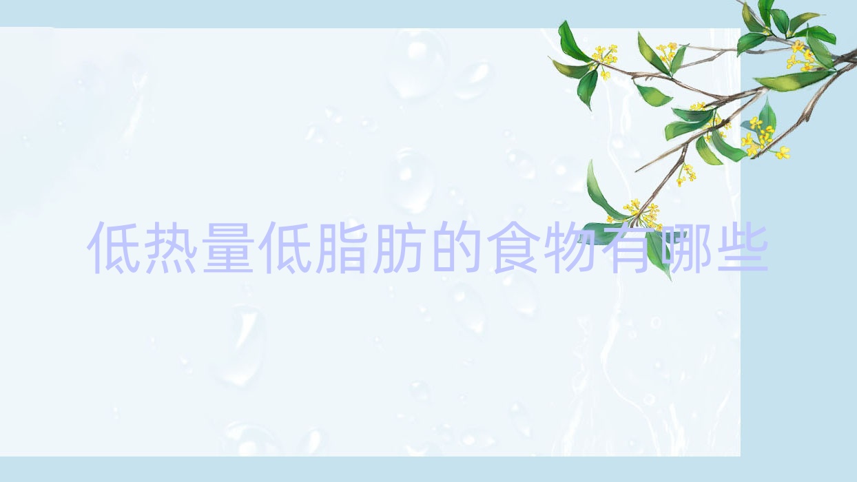 低热量低脂肪的食物有哪些