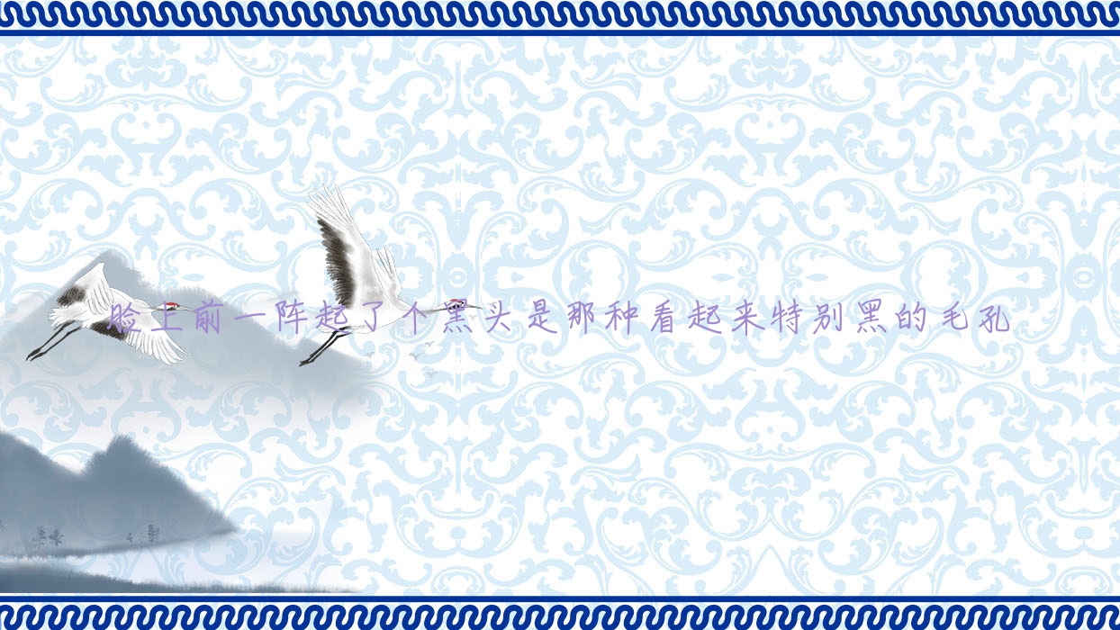 脸上前一阵起了个黑头是那种看起来特别黑的毛孔