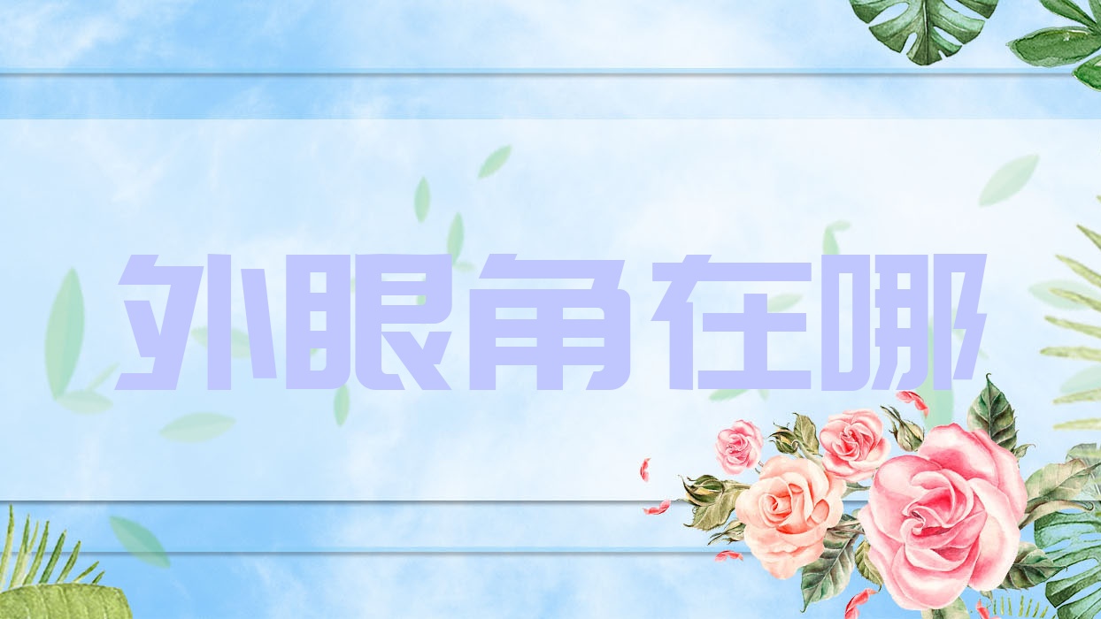 外眼角在哪