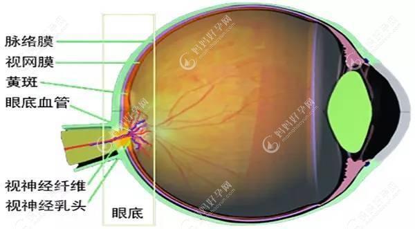 广州爱尔眼科医院眼底病做得好的医生