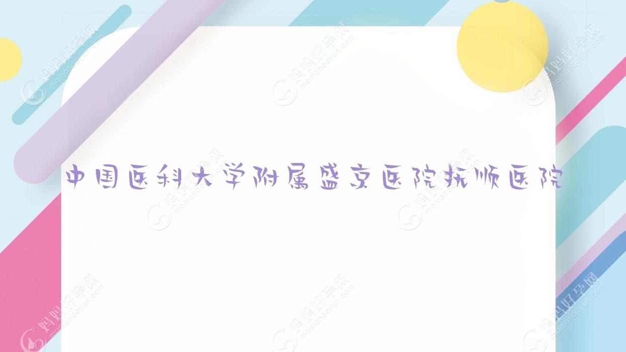 国内医科大学附属盛京医院抚顺医院