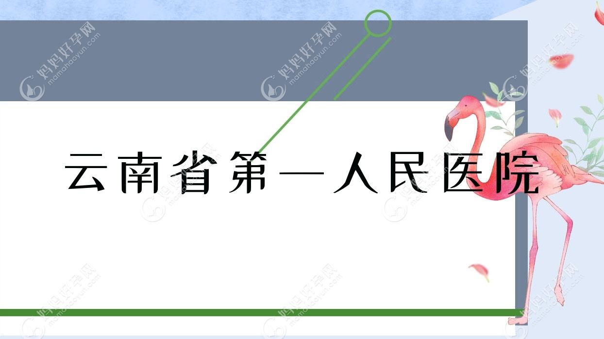 云南省一人民医院