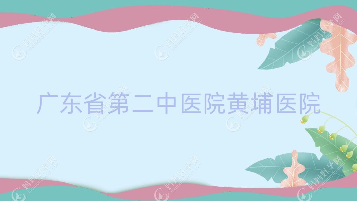 广东省第二中医院黄埔医院