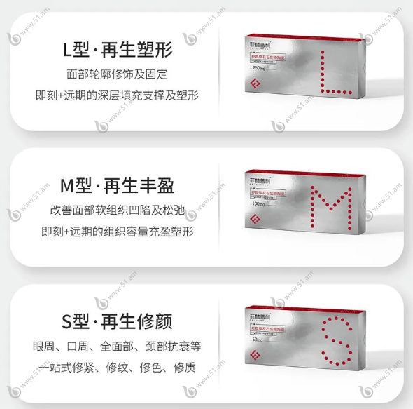 菲林普利可以打哪里