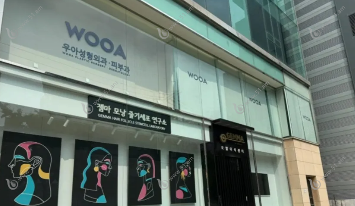 韩国wooa皮肤科预约方式