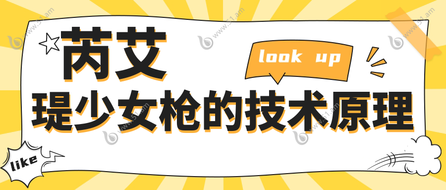 芮艾瑅少女枪的技术原理