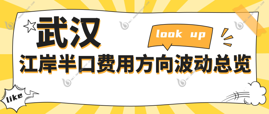 武汉江岸半口费用方向波动总览