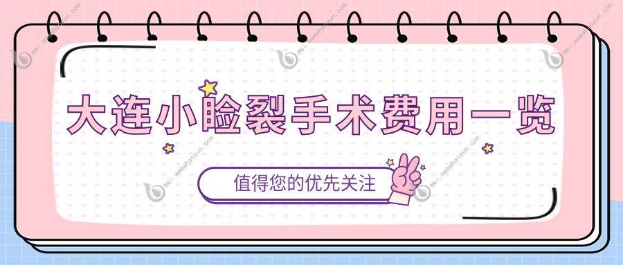 大连小睑裂手术费用一览