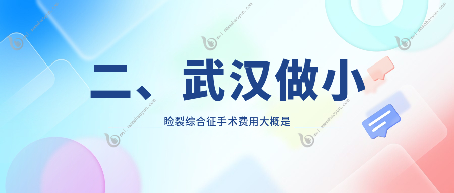二、武汉做小睑裂综合征手术费用大概是多少钱？观视界5560/艾格5360/何氏精益4498