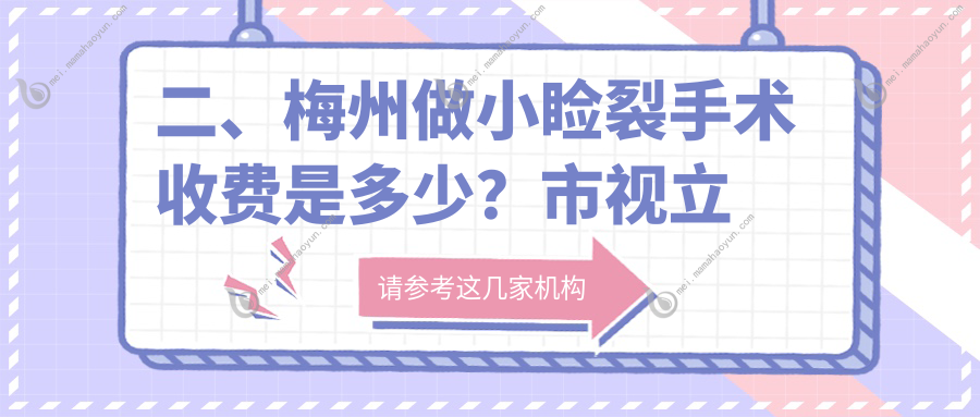 二、梅州做小睑裂手术收费是多少？市视立康4098/4759/5599