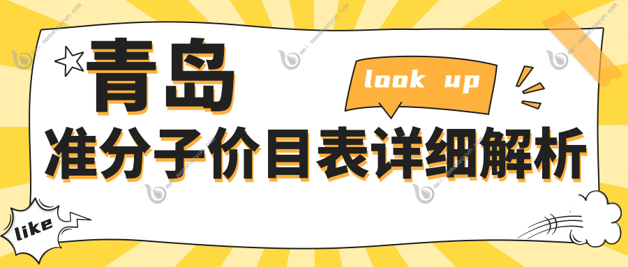 青岛准分子价目表详细解析