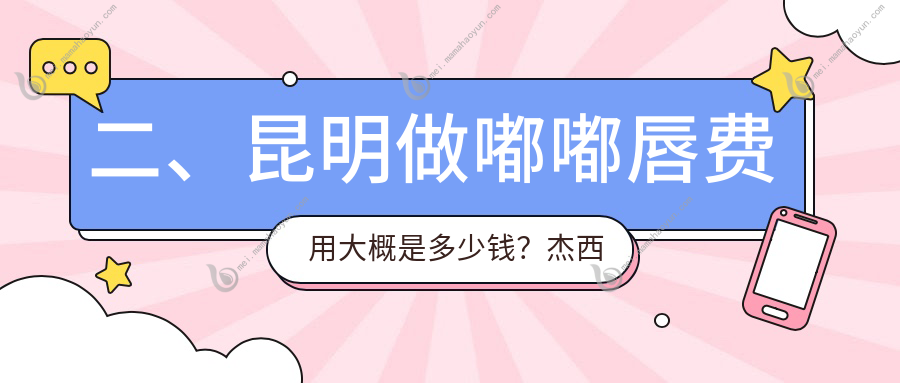 二、昆明做嘟嘟唇费用大概是多少钱？杰西艾1788、艺星2350、韩辰1658