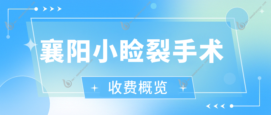 襄阳小睑裂手术收费概览
