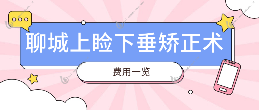 聊城上睑下垂矫正术费用一览