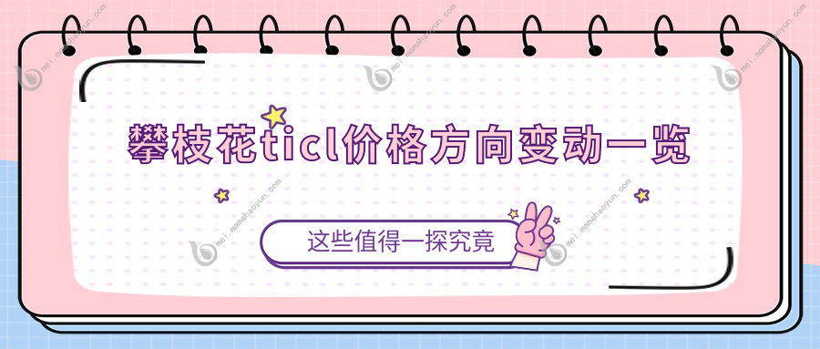 攀枝花ticl价格方向变动一览