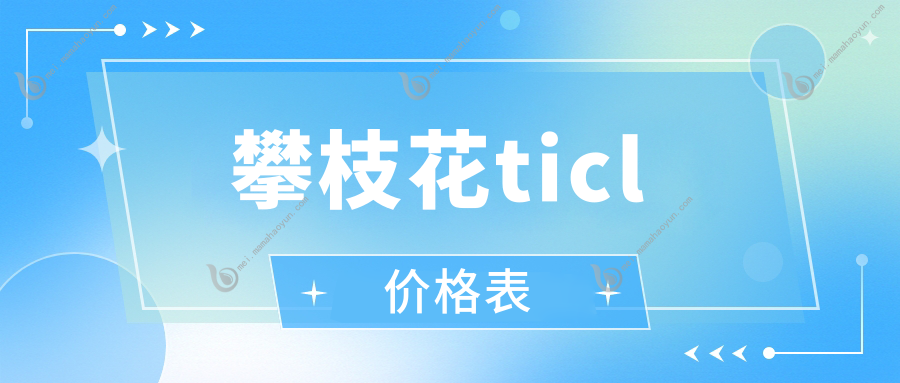攀枝花ticl价格表