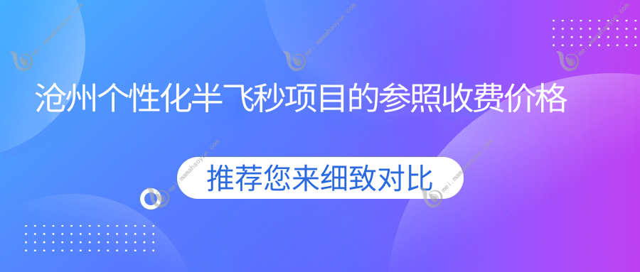 沧州个性化半飞秒项目的参照收费价格表