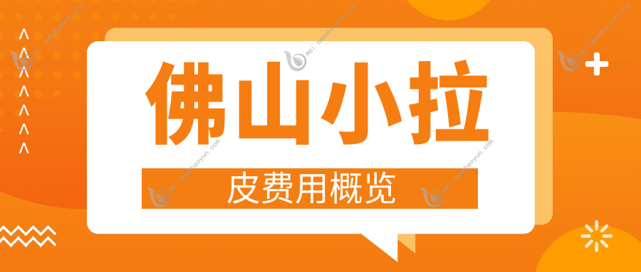 佛山小拉皮费用概览