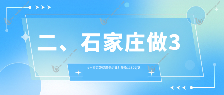 二、石家庄做3d生物束带费用多少钱？美兔11899