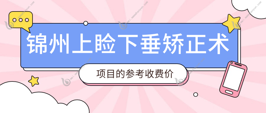 锦州上睑下垂矫正术项目的参考收费价格表
