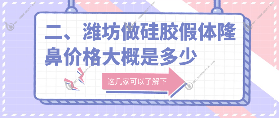 二、潍坊做硅胶假体隆鼻价格大概是多少钱？海大星范6269
