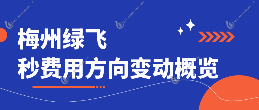 梅州绿飞秒费用方向变动概览