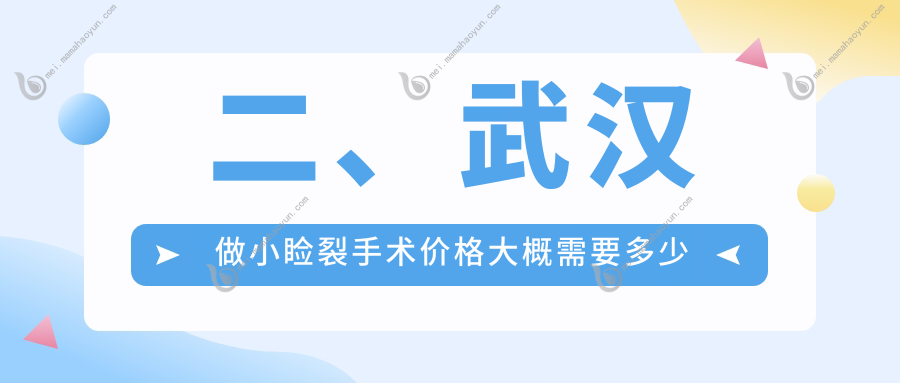 二、武汉做小睑裂手术价格大概需要多少钱？佰视佳5180