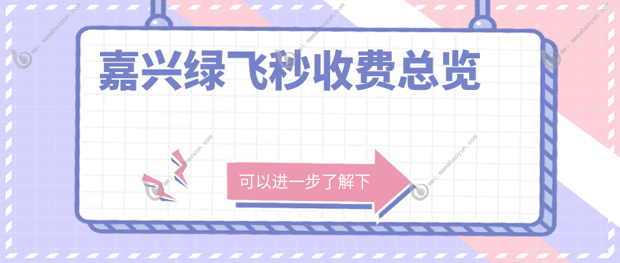 嘉兴绿飞秒收费总览