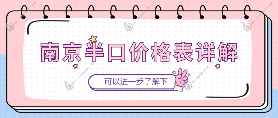 南京半口价格表详解