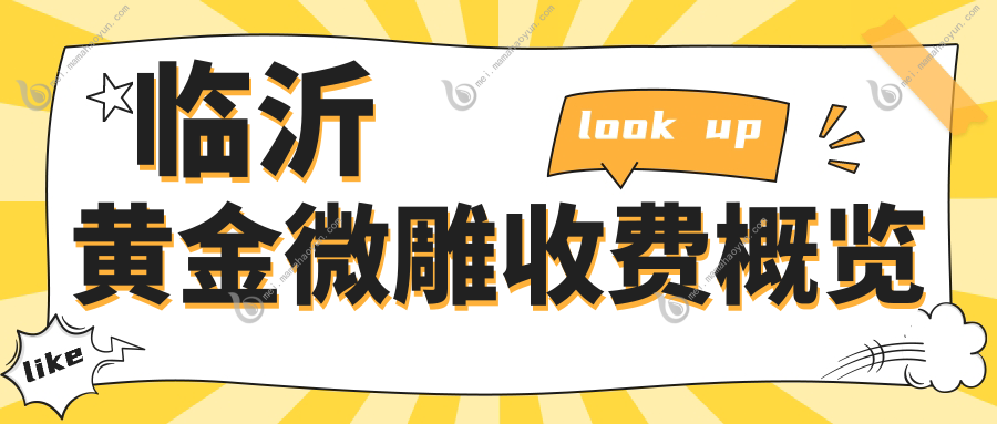 临沂黄金微雕收费概览