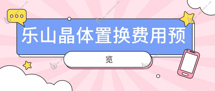 乐山晶体置换费用预览