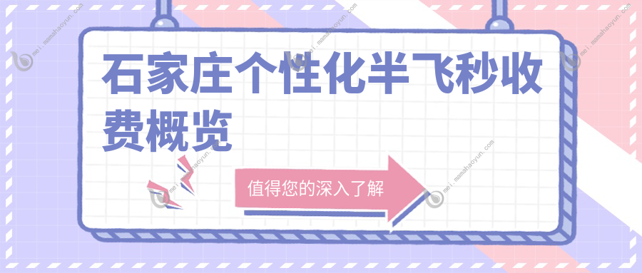 石家庄个性化半飞秒收费概览