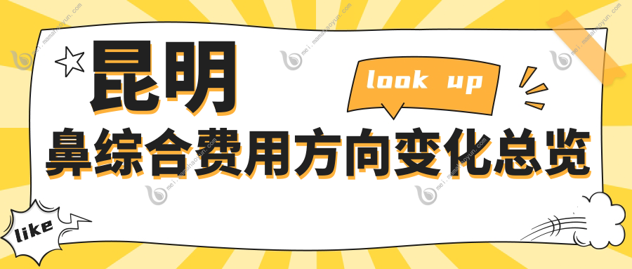 昆明鼻综合费用方向变化总览