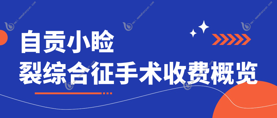 自贡小睑裂综合征手术收费概览