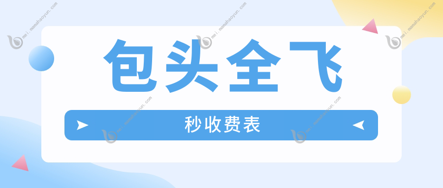 包头全飞秒收费表
