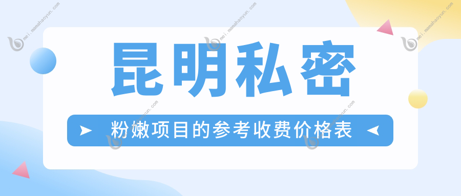 昆明私密粉嫩项目的参考收费价格表
