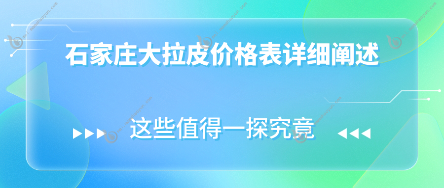 石家庄大拉皮价格表详细阐述