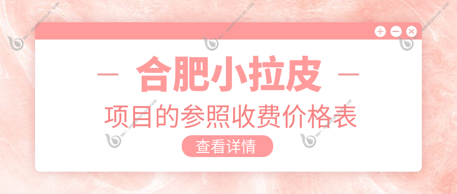 合肥小拉皮项目的参照收费价格表