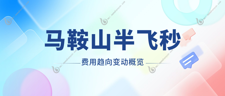 马鞍山半飞秒费用趋向变动概览
