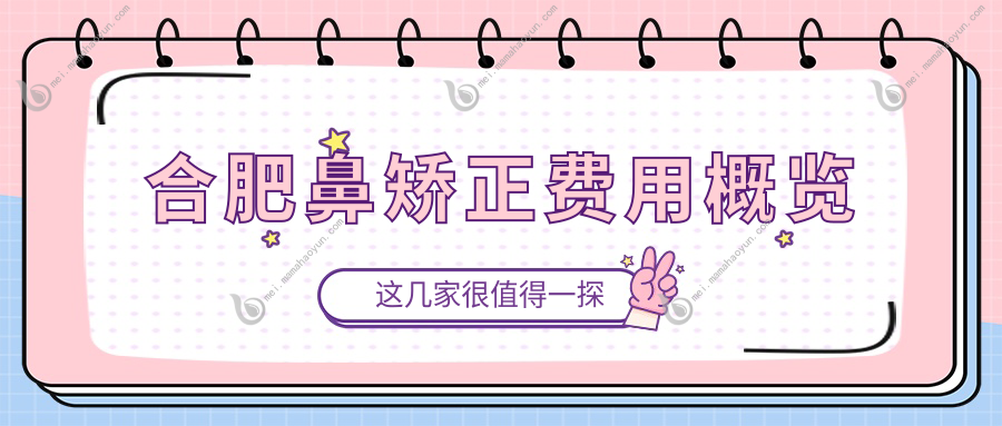 合肥鼻矫正费用概览