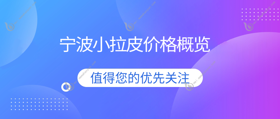 宁波小拉皮价格概览