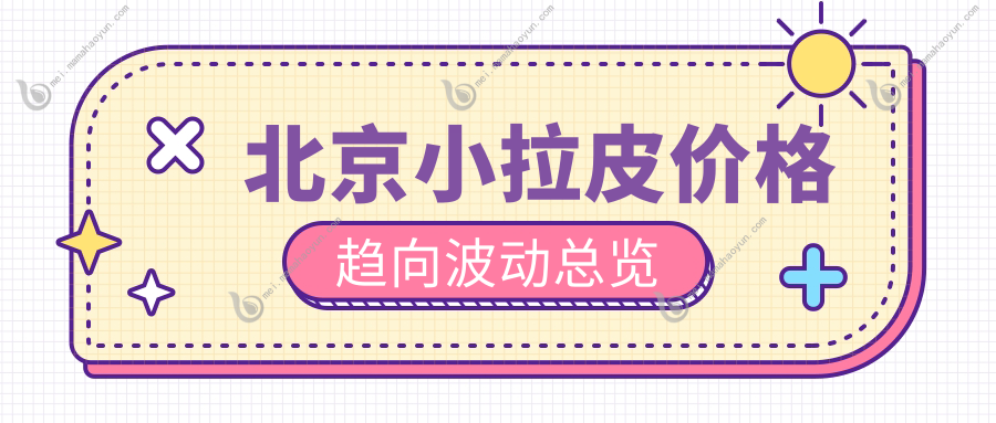 北京小拉皮价格趋向波动总览