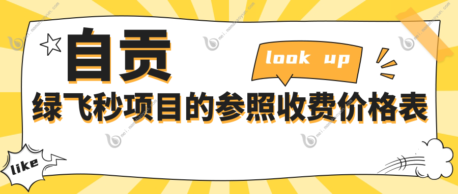 自贡绿飞秒项目的参照收费价格表