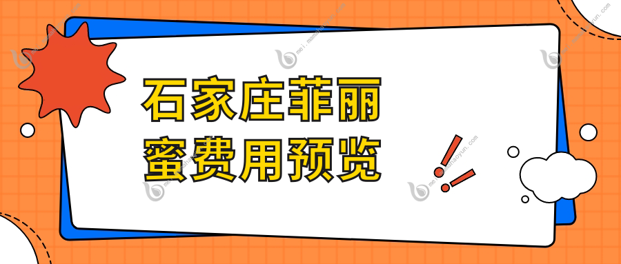 石家庄菲丽蜜费用预览