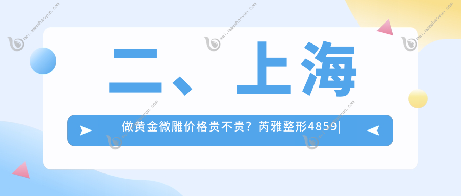 二、上海做黄金微雕价格贵不贵？芮雅整形4859
